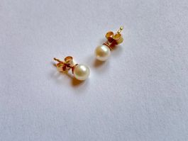 Hochwertige Shibota Pearls Perlen-Ohsrtecker, 750 Gelbgold