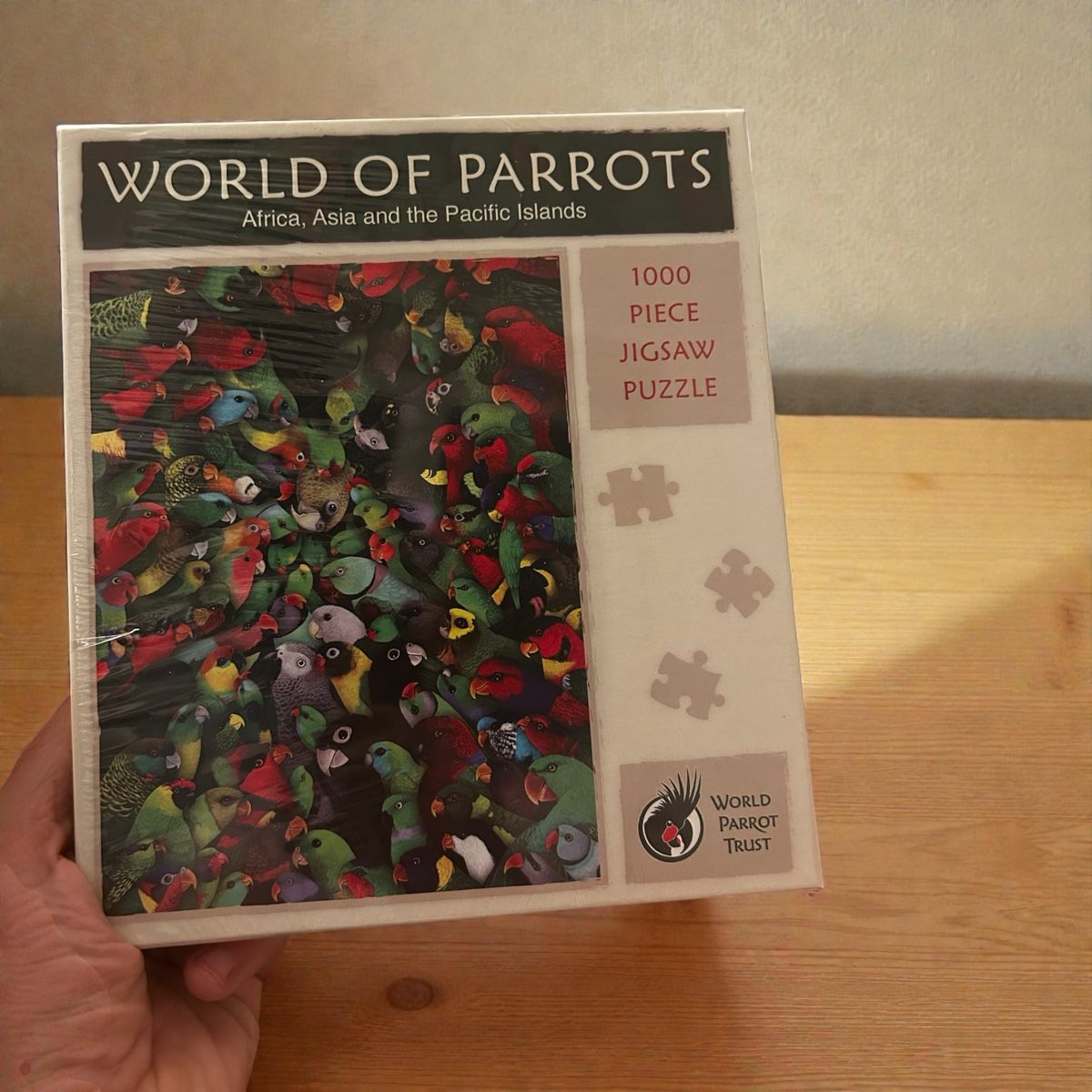 Puzzle: PUZZLE 1000 PARROTS PAPAGEI – Nuovo e nell'imballaggio originale da Zürich venduto da noddygoestotoyland
