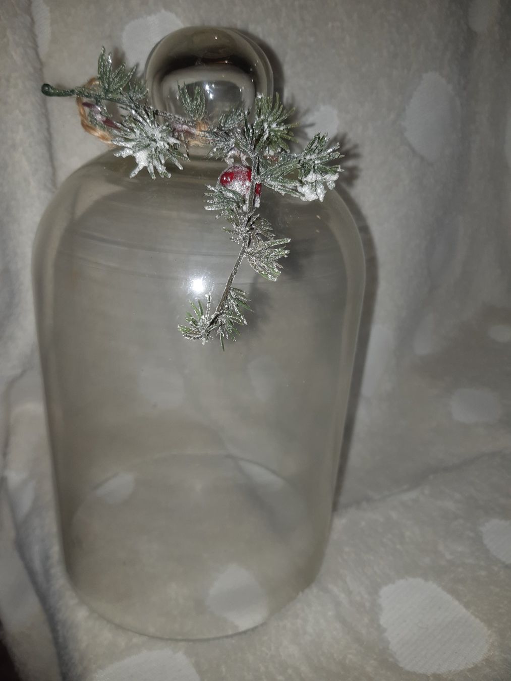 Toutes les décorations: Glasglocke mit Deckel – D'occasion à Studen SZ par Handwerkstatt9698 2