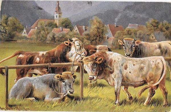 Cartoline postali: Weidende Kuhherde Künstlerkarte – Usato da Olten venduto da clotaldi