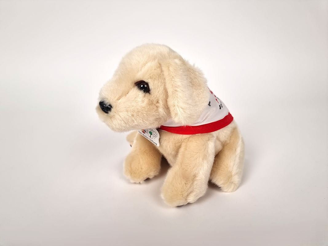 Jouets: Therapie-Hund Plüschtier – Neuf (Voir description) à Urtenen-Schönbühl par Restwert_Schoenbuehl 3