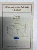 1 antike Landeskarte 1:25000