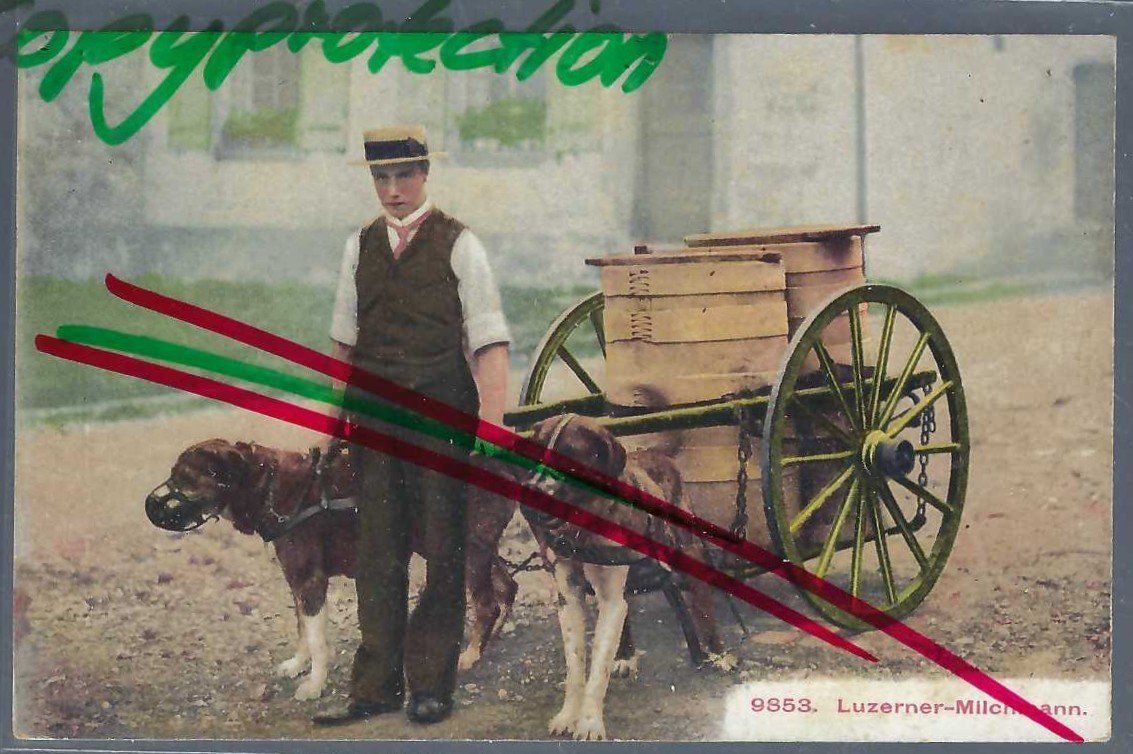 Ansichtskarten: Luzern. Milchmann. – Gebraucht aus Horw von SwissSteamMemories