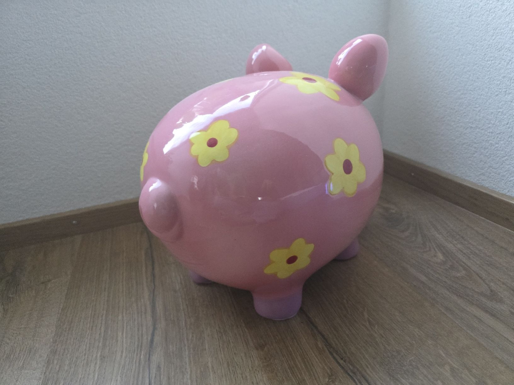 Salvadanai: XXL Sparschwein – Usato da Ziefen venduto da sch_nx7p 2