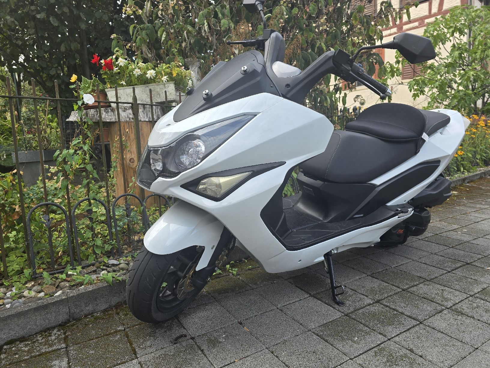 Autres: Motorrad Dealim sv 125 – D'occasion à Wädenswil par rmv_8f7t 1