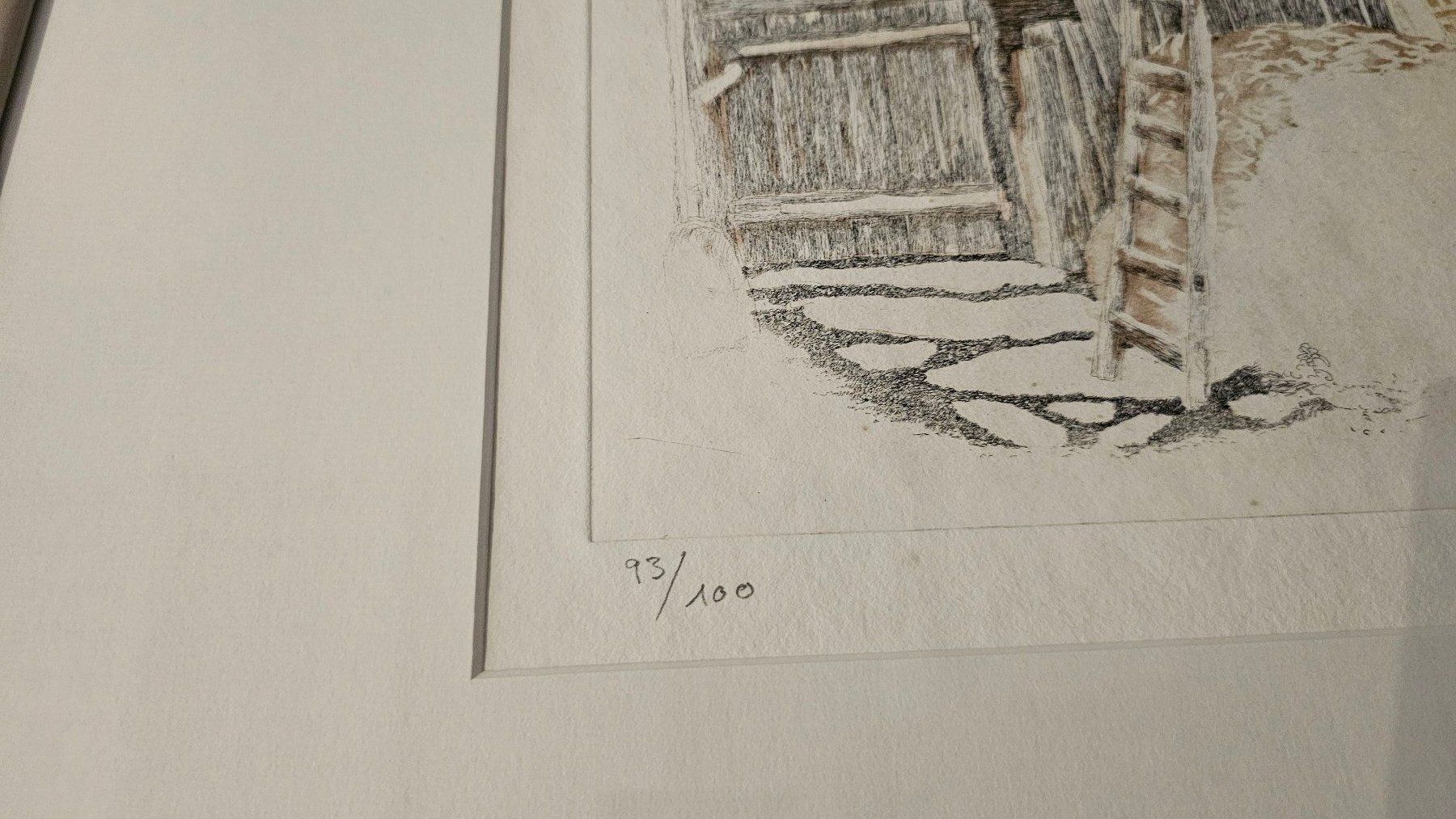 Grafica & Litografie: Bild (Lithographie) von Walter Dick – Usato da Bütschwil venduto da Derfnam1 2