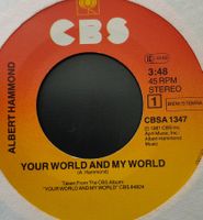 Vinyl Single Albert Hammond - Your World And My World