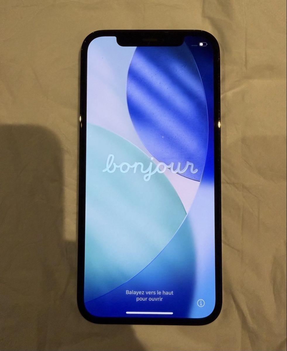 Apple Telefoni cellulari / Smartphones: iPhone 12 Pro 256 Go Bleu Pacifique – Usato da Péry venduto da nic_9lqk 1