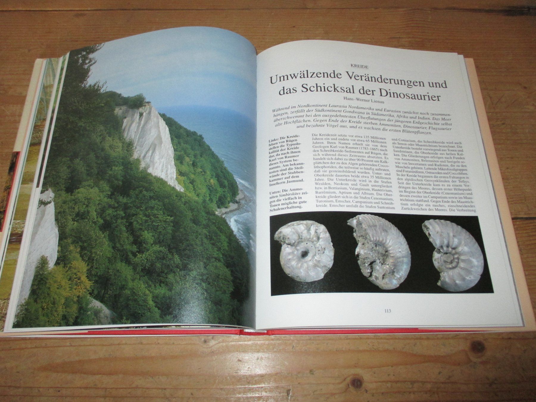Bücher: Die Urzeit – Gebraucht aus Flims - Dorf von Stagediver 3