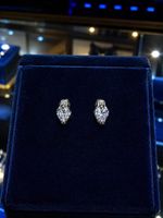 Funkelnde Zirkonia Ohrstecker–Elegante Klassiker Silberfarb