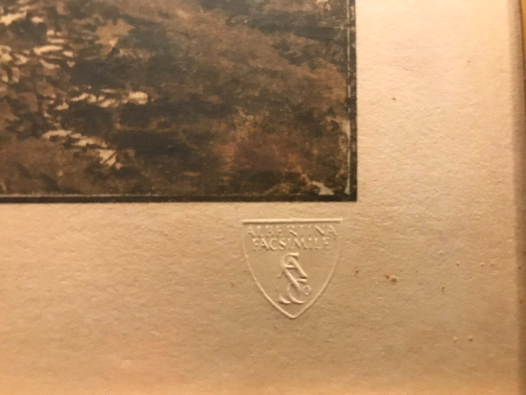 Foto & Immagini: Bild Vermeer van Delft – Usato da Burgdorf venduto da Saem4 1