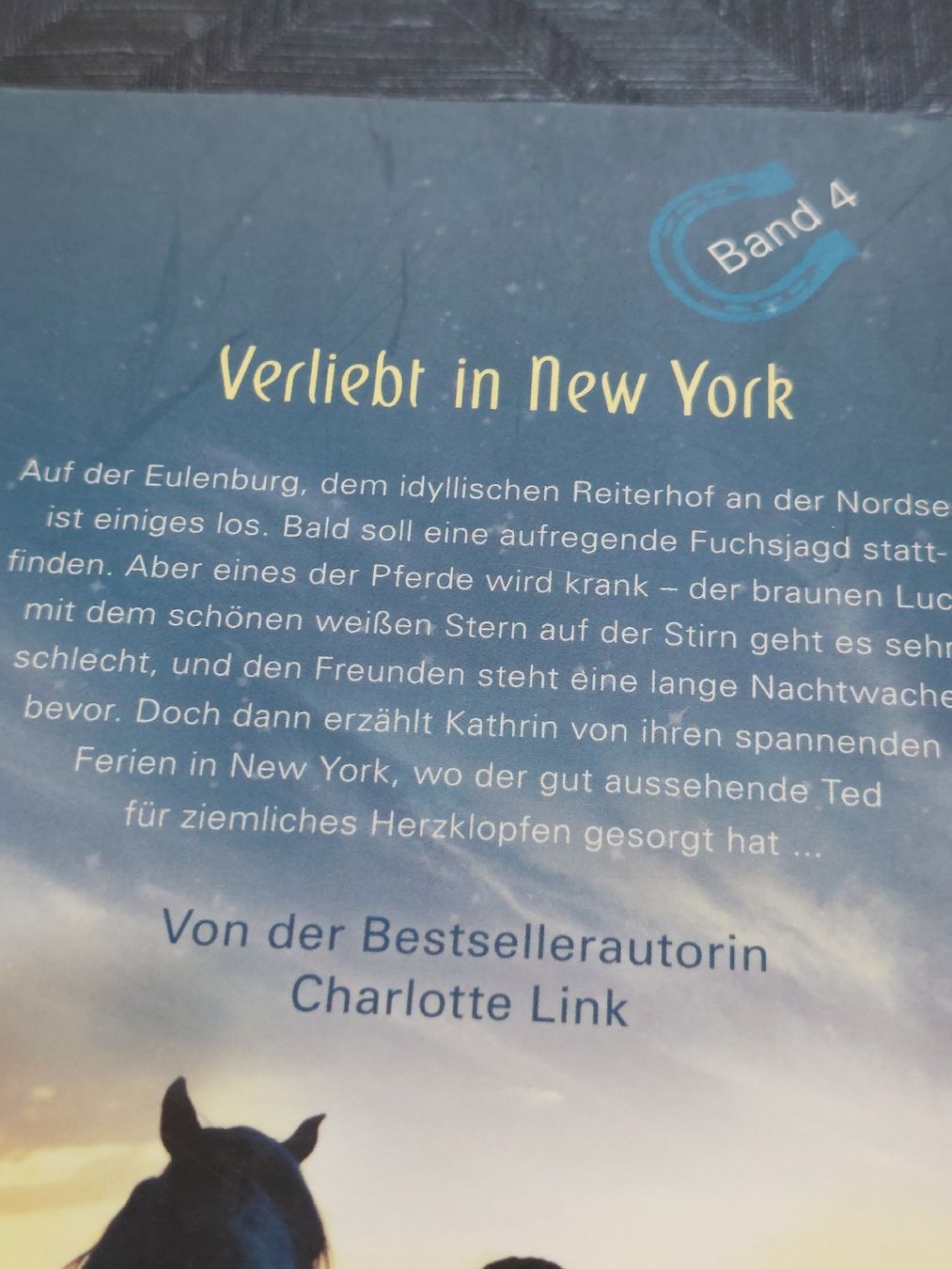 Libri: 4 tolle Pferdebücher,  Charlotte Link – Usato da Zetzwil venduto da lanst08 2