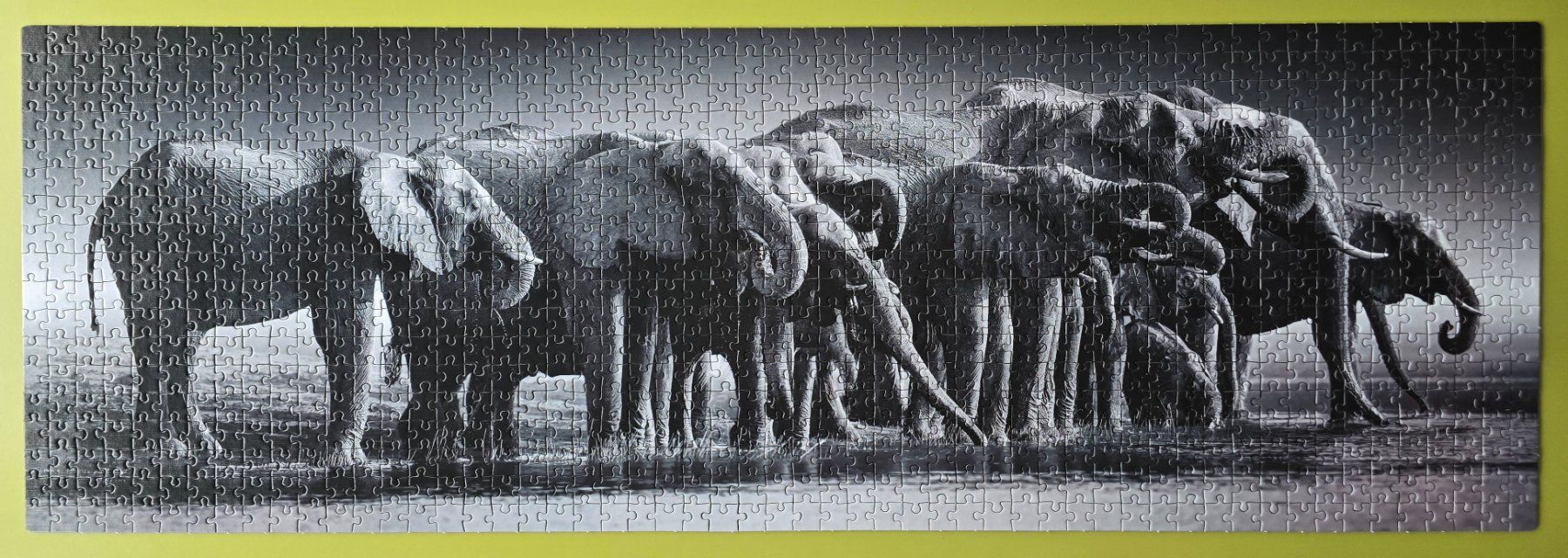 Clementoni Puzzle: Puzzle Panorama 1000 Teile – Usato da Niederbipp venduto da Schlako