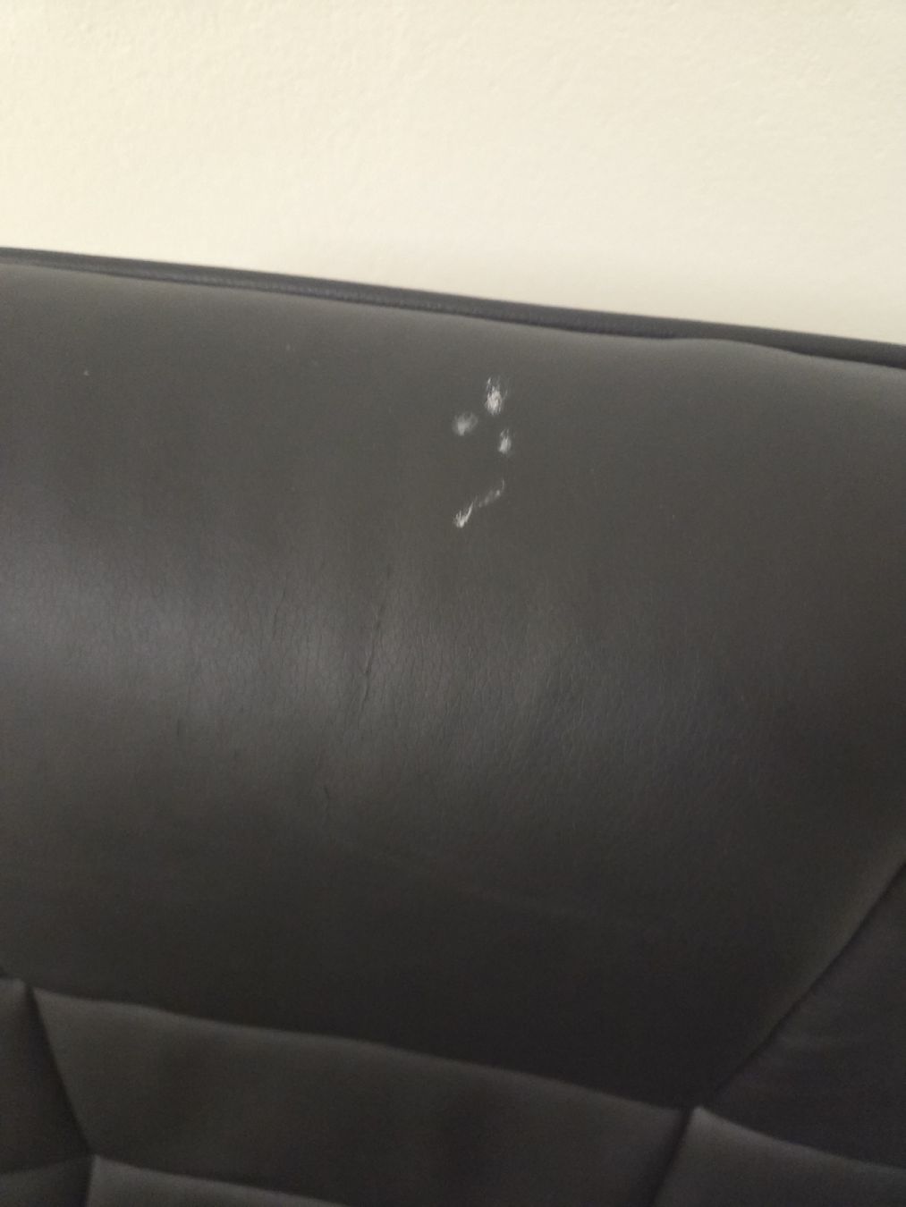 Sessel: Comfortable Black Leather Swivel Chair - Some Damage – Gebraucht aus Lachen SZ von col_bw5v 3