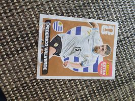 Panini