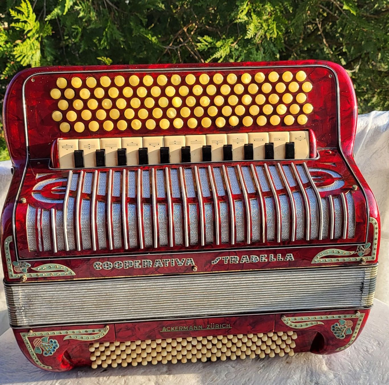 Strumenti musicali: accordéon cooperativa stradella 4 voix – Usato da Penthalaz venduto da EvandroLuz 2