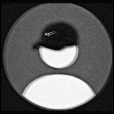 Profile image of paka_88