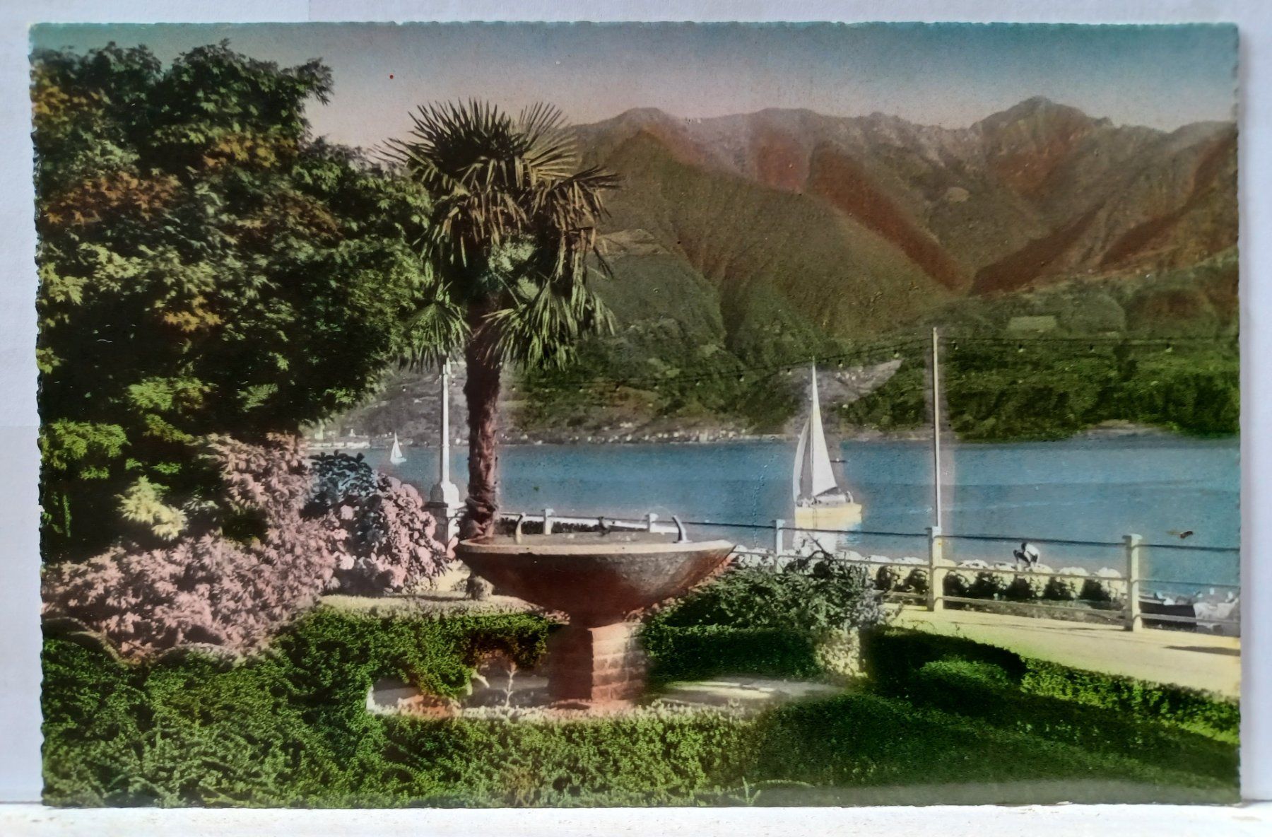 Cartoline postali: TI, No. 3189, Locarno, LUNGOLAGO, 1955, – Usato da Aarau Rohr venduto da mgvw