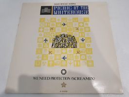 Picnic At The Whitehouse – We Need Protection (Maxi, Electr)