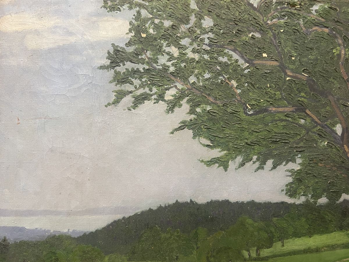 Dipinti: HUILE SUR TOILE ANCIENNE SIGNÉE ILLISIBLE ???? – Usato da Genève venduto da Qanil77 6