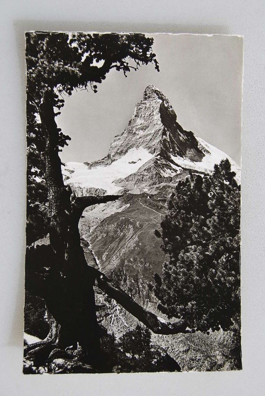 Ansichtskarten: AK Zermatt. Matterhorn u. Arve – Gebraucht aus Rüfenacht BE von Toro06