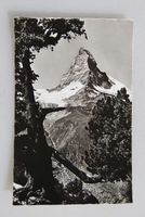 AK Zermatt. Matterhorn u. Arve
