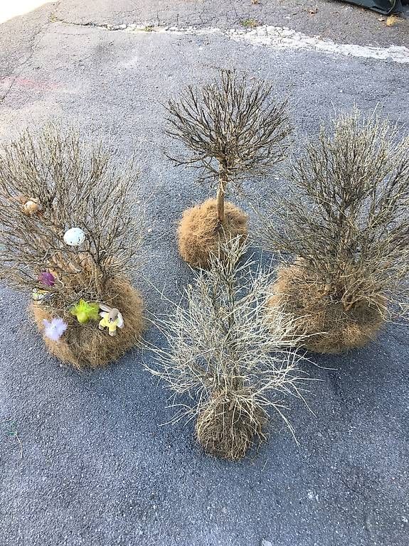 Tutte le decorazioni: Osterdekoration – Usato da Seewen SZ venduto da holx 3