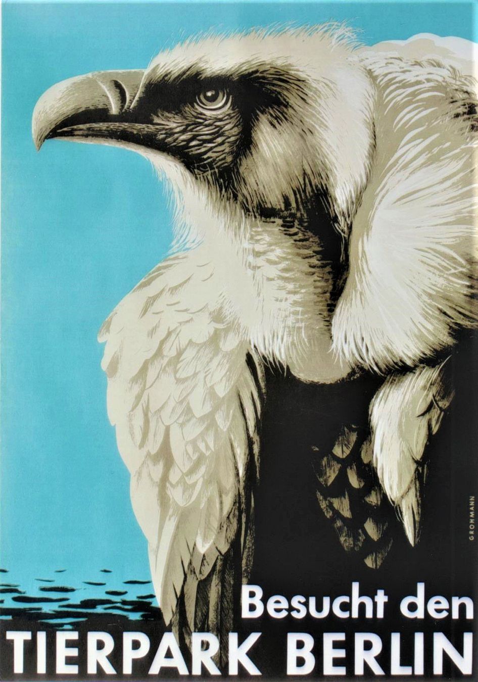 Foto & Immagini: TIERPARK BERLIN RAUBVOGEL c. 1965 – Usato da Blonay venduto da postercollection