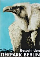 TIERPARK BERLIN RAUBVOGEL c. 1965