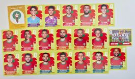 Team Marokko Komplett! - Panini FIFA WM 2026