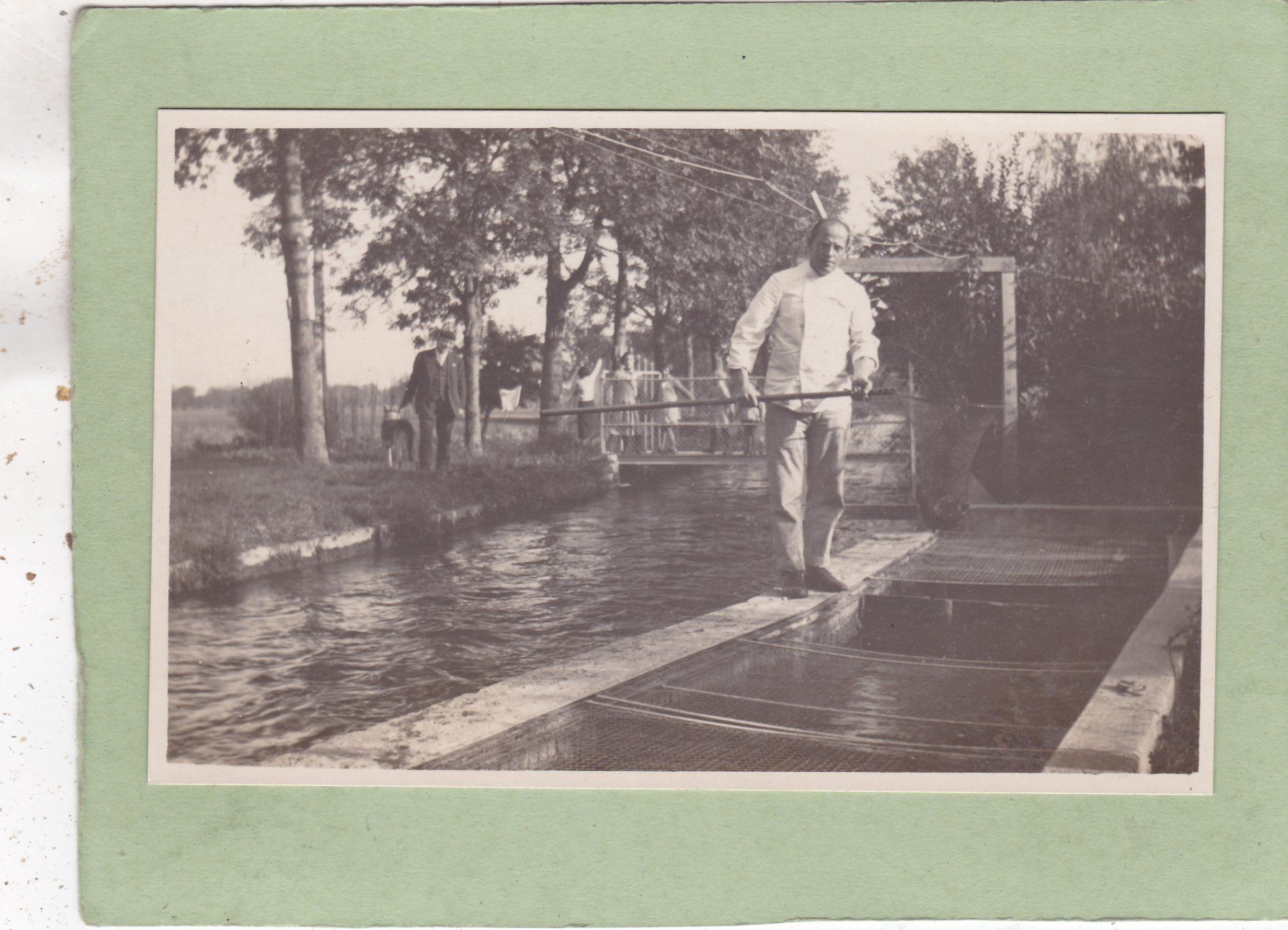 Cartoline postali: Fischzucht Photokarte – Usato da Herisau venduto da Lisegrat2008