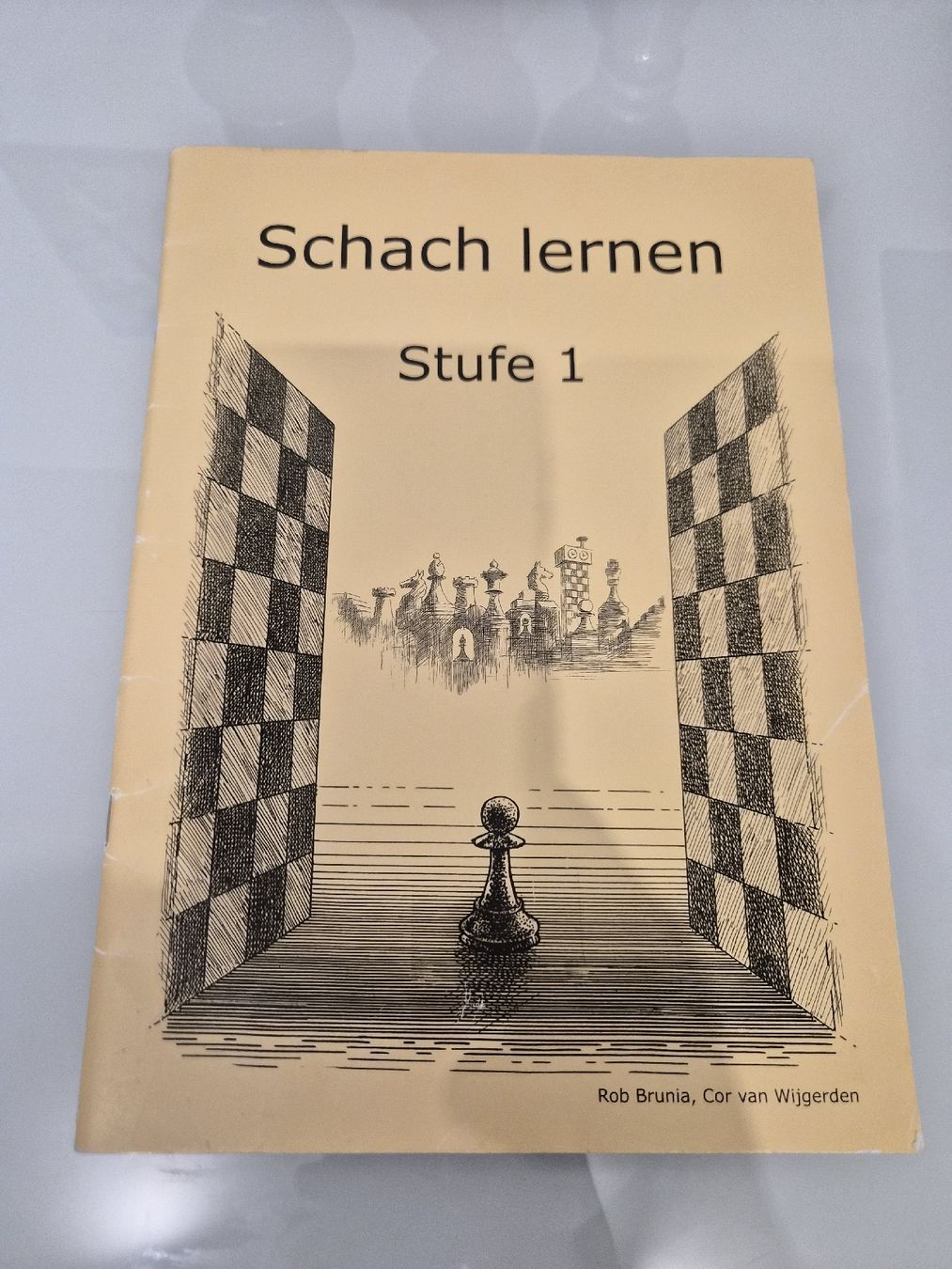 Bücher: Schach lernen Stufe 1 Buch – Gebraucht aus Zürich von Joselito0