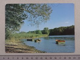 Rhein unterhalb Loog, bei Dörflingen SH, 1979