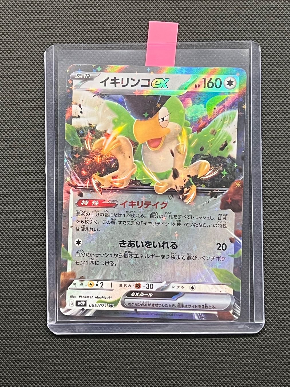 Pokémon Carte collezionabili: Pokemon Squawkabilly ex #65 - NM/MINT - Snow hazard -JAP – Usato da Pregassona venduto da X_vendeditutto