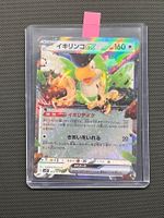 Pokemon Squawkabilly ex #65 - NM/MINT - Snow hazard -JAP
