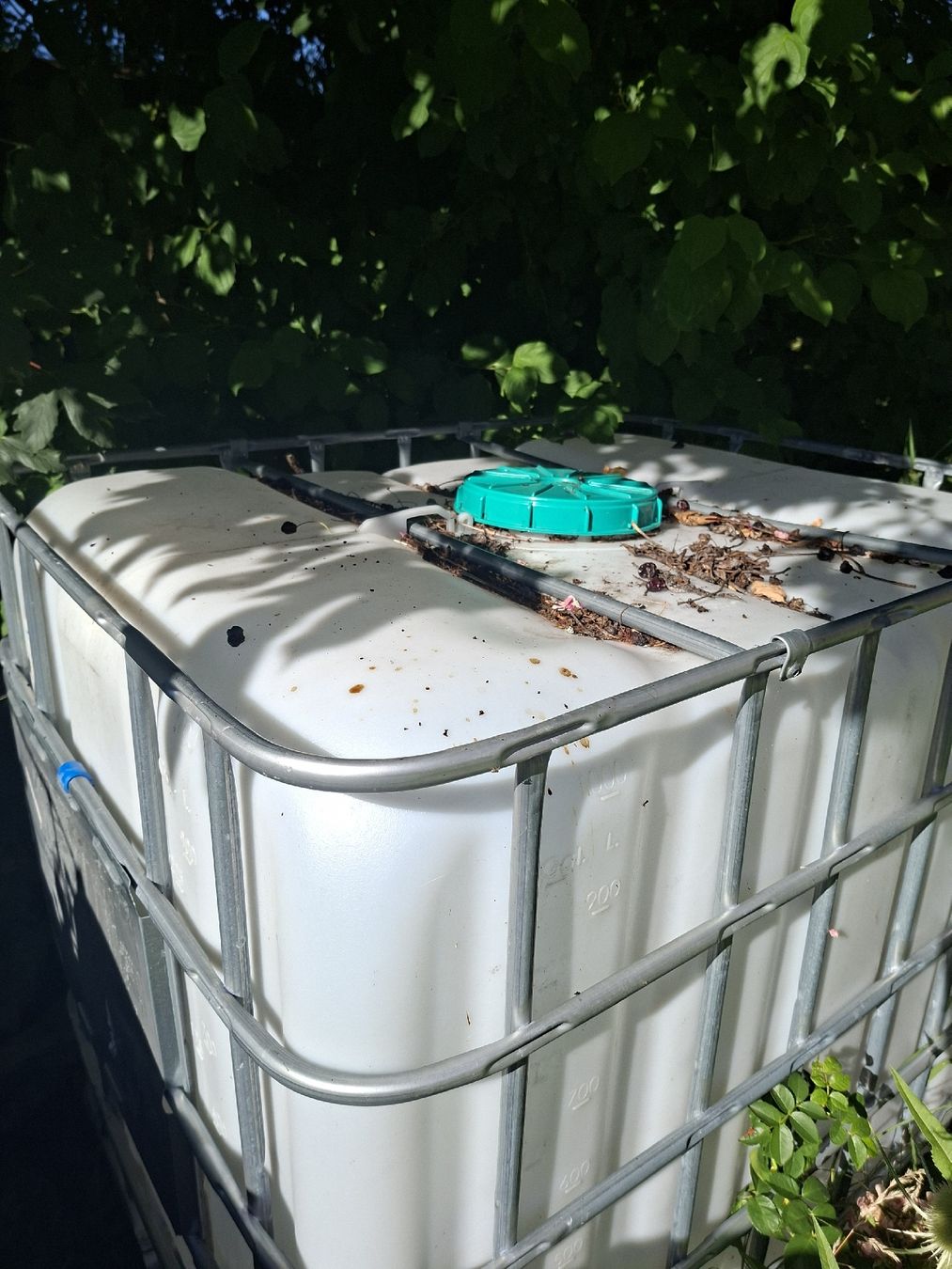 Abbeveratoi e trogoli: 1000 Liter Tank – Usato da Wolfhalden venduto da goovy 1
