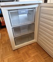 Bauknecht Gefrierschrank weiss