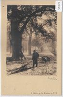 Geneve - Les Bastions - Strassenwischer