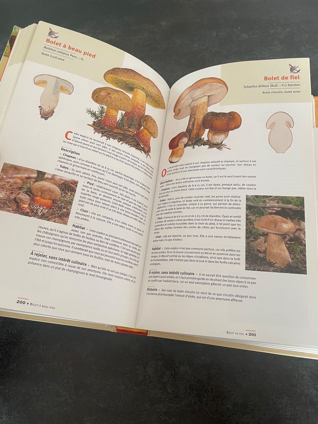 Libri: Livre Guide des Champignons – Usato da Vallamand venduto da Bricbracbroc82 9
