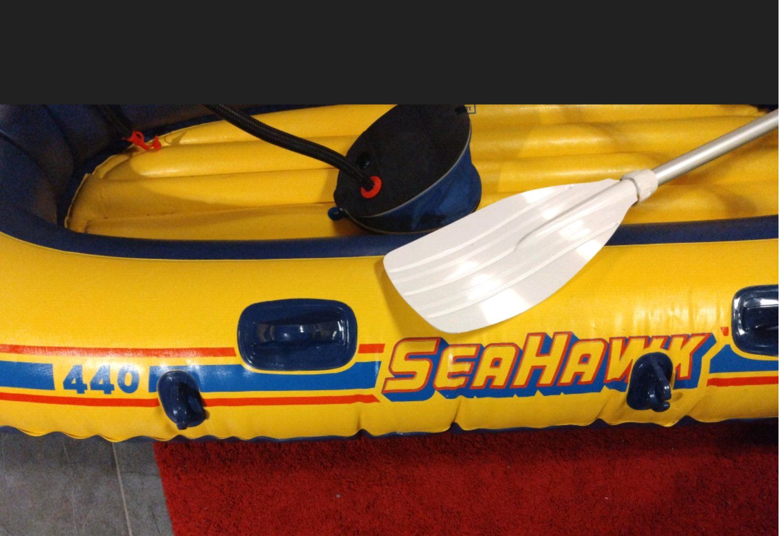 Barche: Schlauchboot – Usato da Eglisau venduto da Chrispoint 1