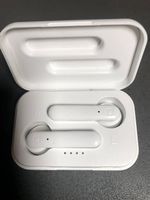 sbs Earpods