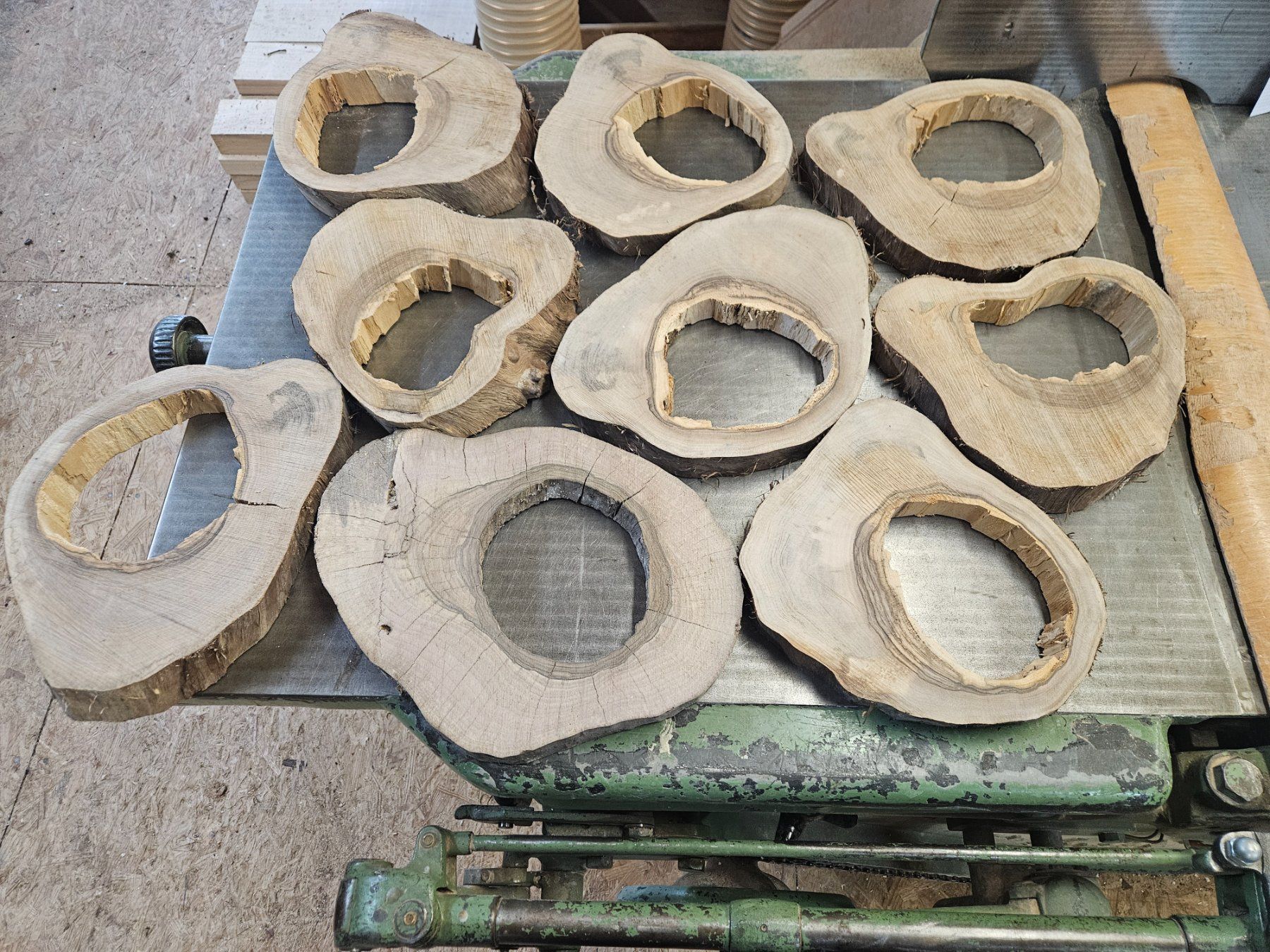 Holzartikel: Nussabum Holz Baumscheiben – Neu (gemäss Beschreibung) aus Schangnau von egli6.2