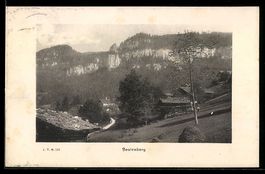 AK Beatenberg, Ortspartie mit Strasse