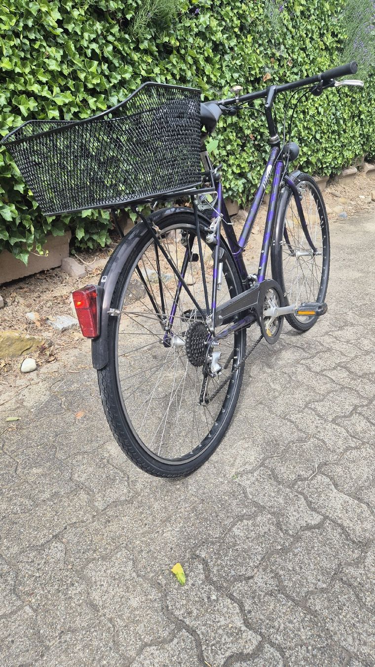 Velos: Velo – Gebraucht aus Oberhasli von Velo_Susak 8