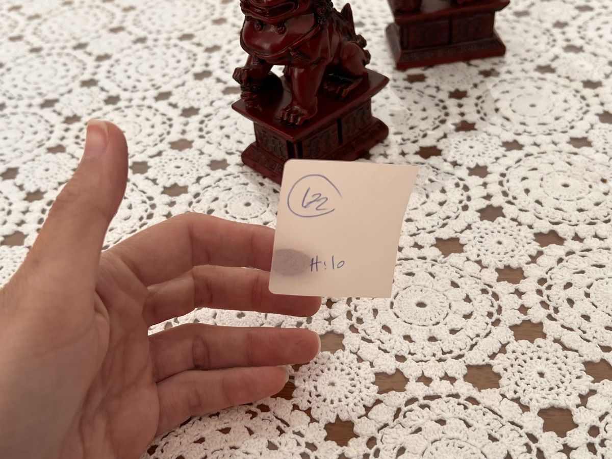 Statuette: 2x  Chinesische Foo-Löwen (172) – Usato da Glattfelden venduto da maa_qcj8 5