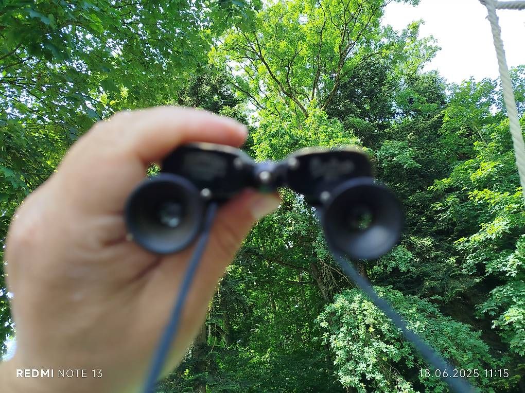 Binocoli: Opernglas VOIGTLÄNDER BRAUNSCHWEIG – Usato da Rupperswil venduto da Viland_Dann 4