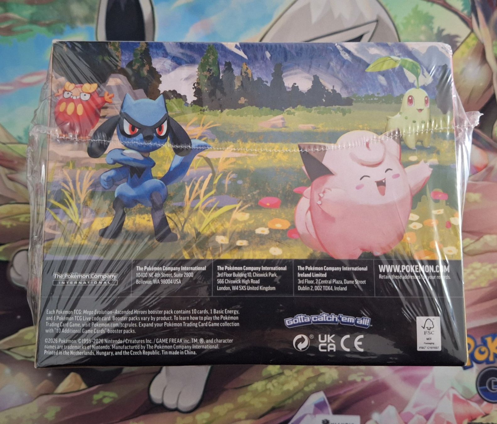 Pokémon Carte collezionabili: Pokemon Mini Tin Display Ascended Heroes EN – Nuovo e nell'imballaggio originale da Naters venduto da poketrade11 3