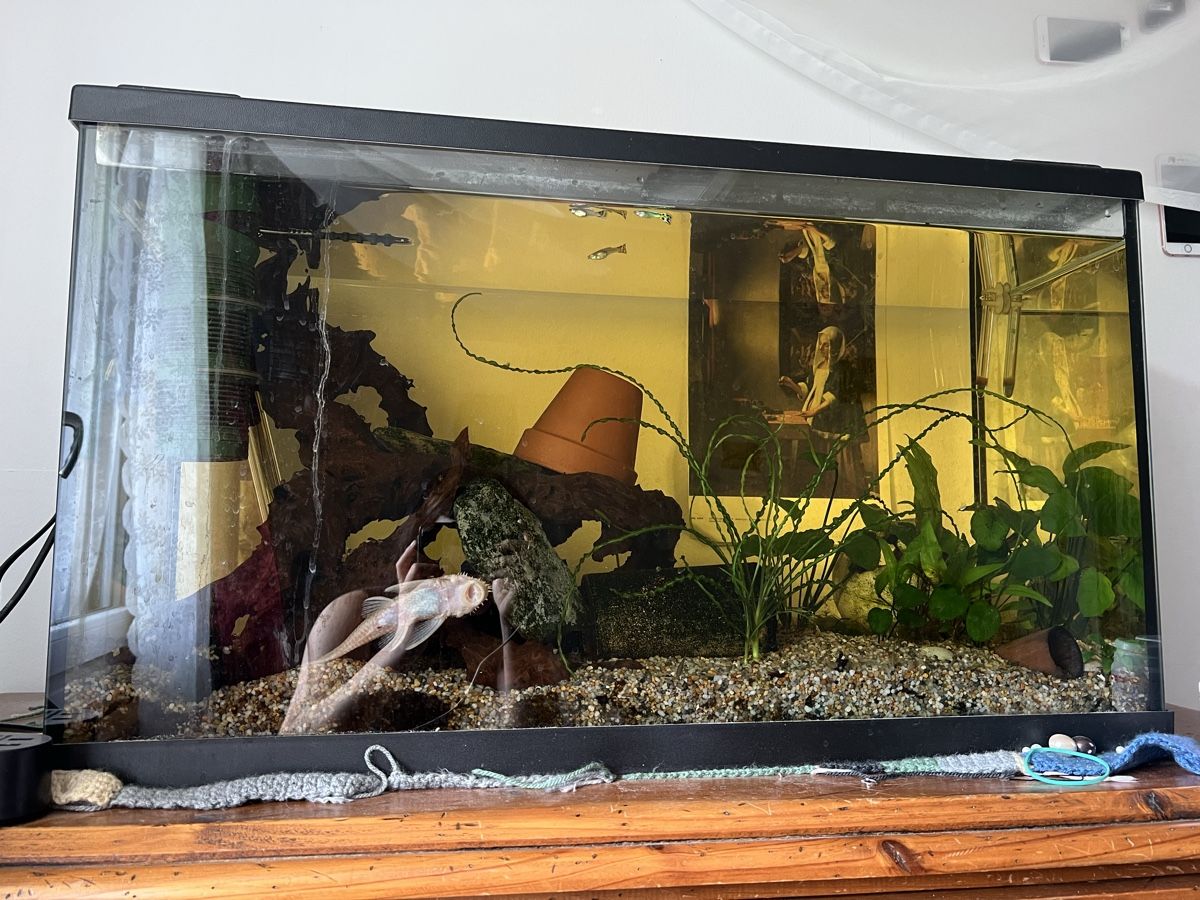 Aquarium: Aquarium – D'occasion à Trogen par lar_r9jr 1
