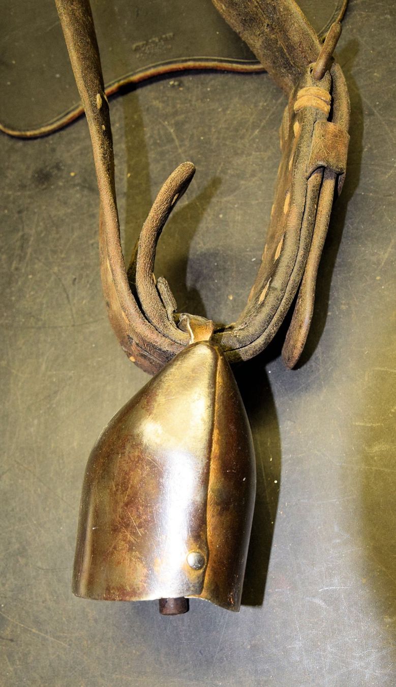 Chamonix Campanacci mucche: CLOHE A VACHE CHAMONIX DEVOUASSOUD N° 1 – Usato da Genève venduto da arno18 3
