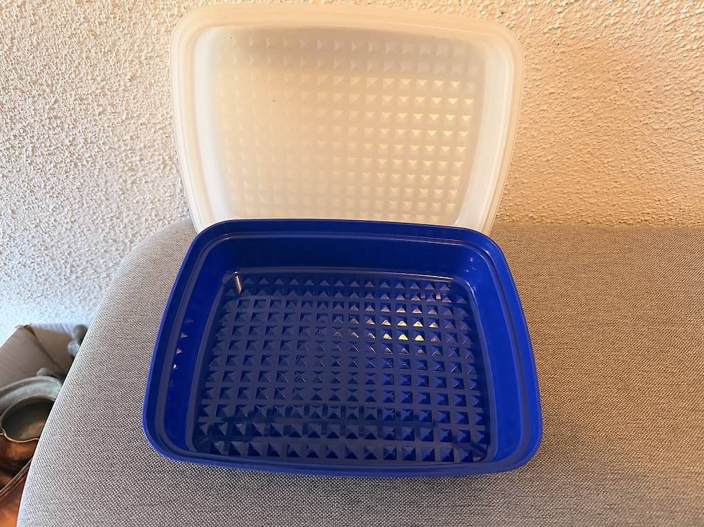 Contenitori & Simili: Tupperware Marinierbehälter neu – Usato da Bellikon venduto da Schwoscht 1